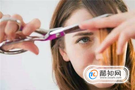 ������������ɿ�����������